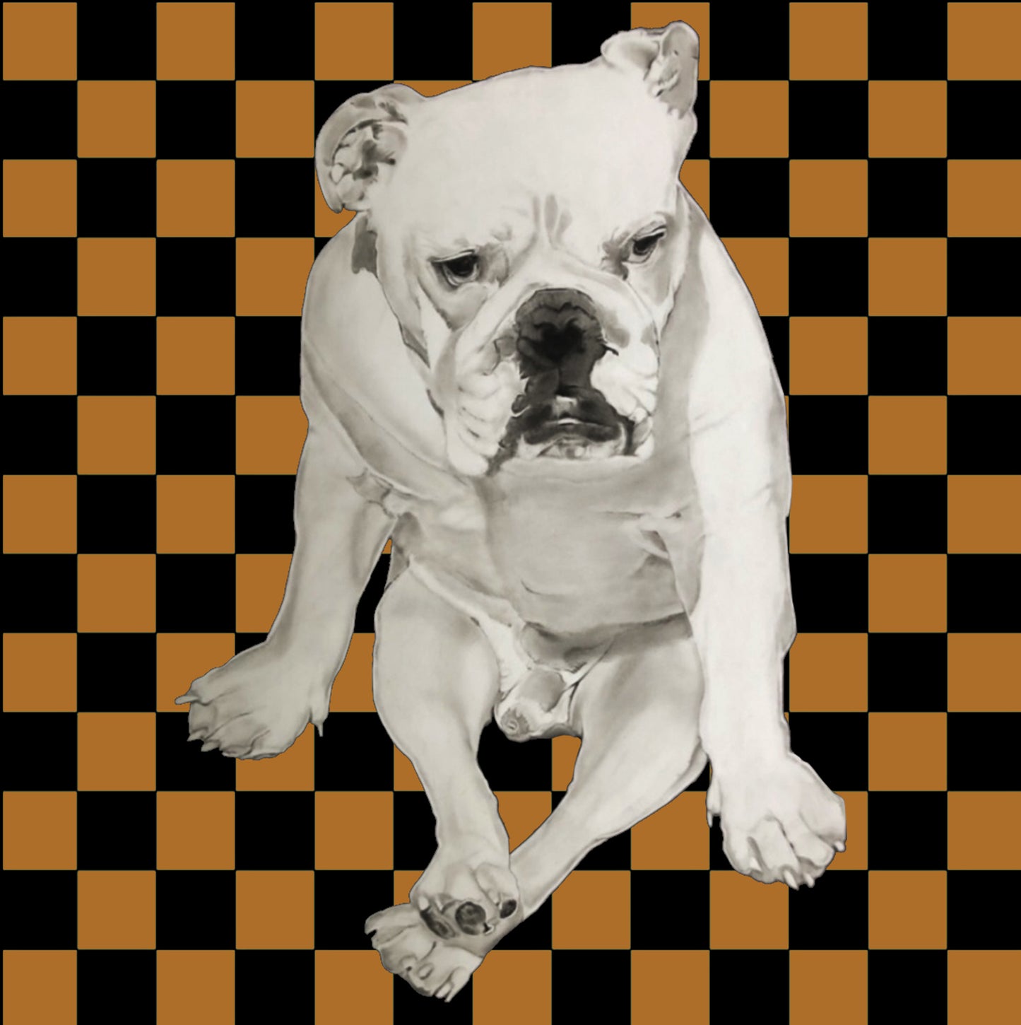 Shani Krebs Print | Bull Dog - Bourbon Checks