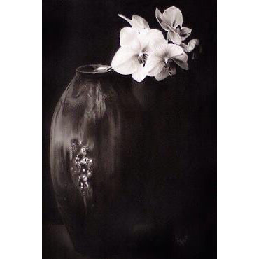 Shani Krebs Original Art | Black Orchid Cry