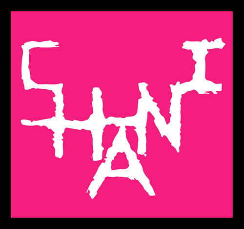 Shani Krebs Gallery